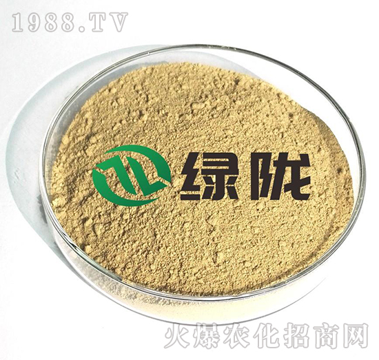 �����ѿ�ߗU��-�G�]����