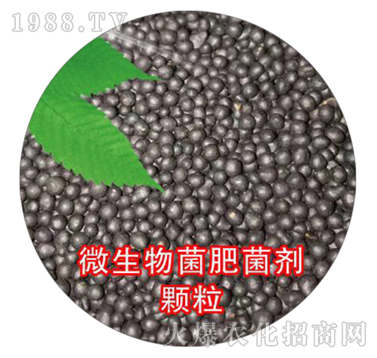 ΢������ʾ����w��-��ʢ���r