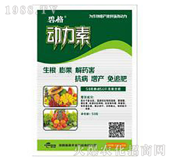 50�˄�(d��ng)����-�̸�-�ɭ�r(n��ng)�I(y��)