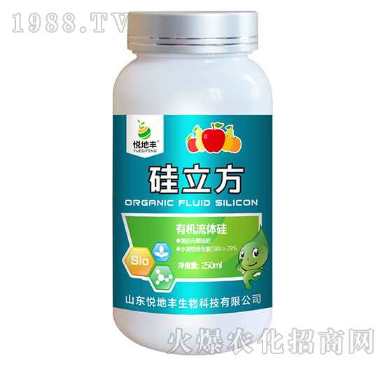 �ЙC(j��)���w��-������-�����S