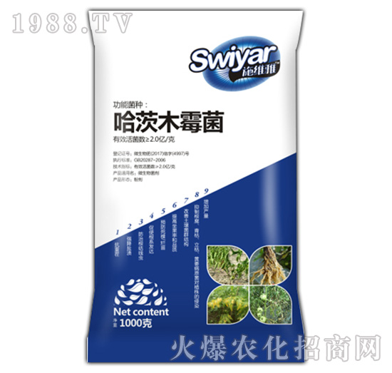 ����ľù��-������