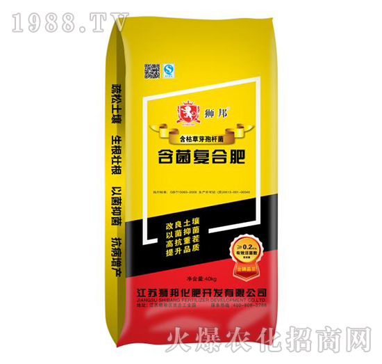 �����ͺϷ�-�{��