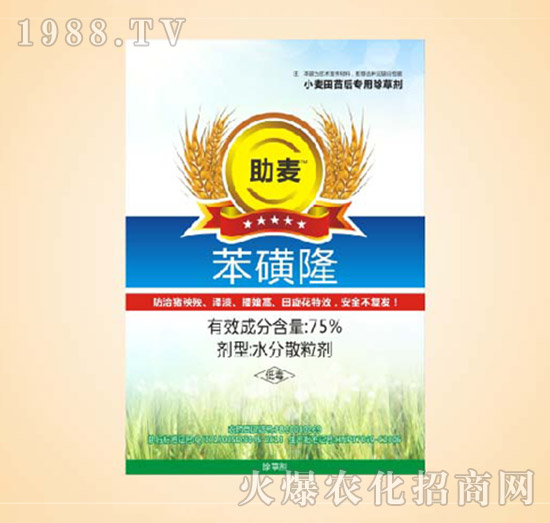 75%����¡-����-ͬ�S