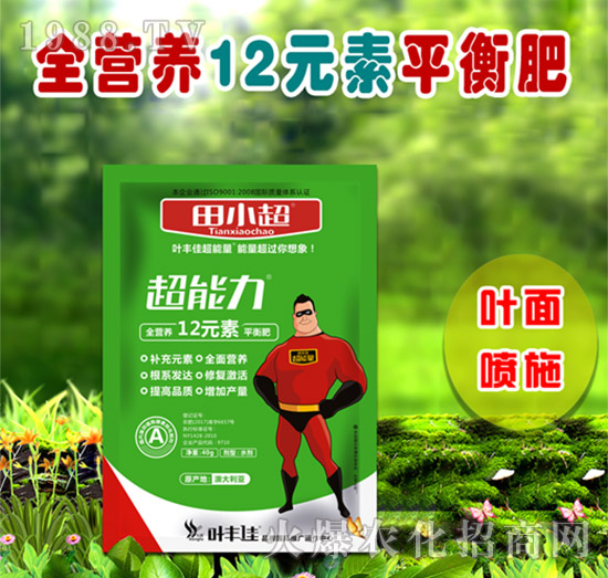 ȫ�I(y��ng)�B(y��ng)12Ԫ��ƽ���-��С��������