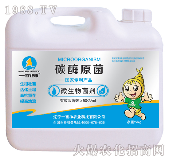 ̼øԭ��-һ����