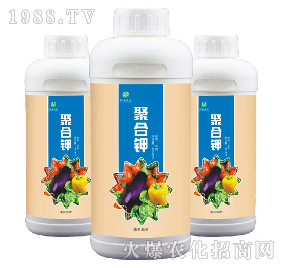 �ۺ��-��ɭ�r(n��ng)��