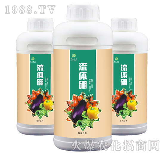 ���w��-��ɭ�r��