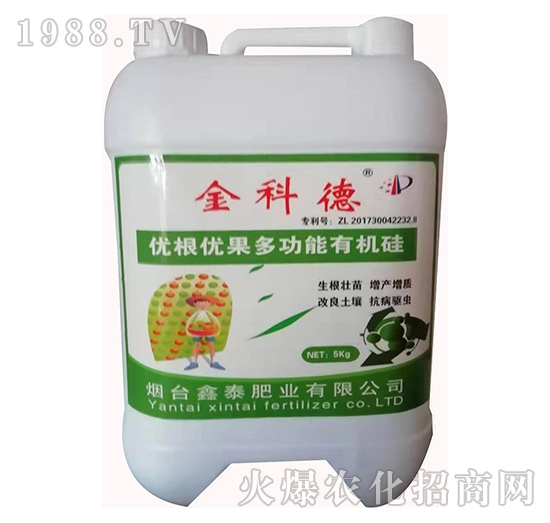 ��(y��u)����(y��u)���๦���ЙC��-��Ƶ�-��̩�ʘI(y��)