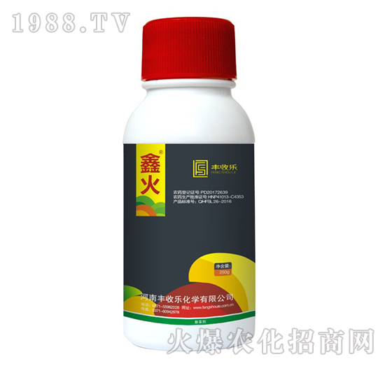 32.4%���ᡤ�ݸ��-�λ�-�S�՘�