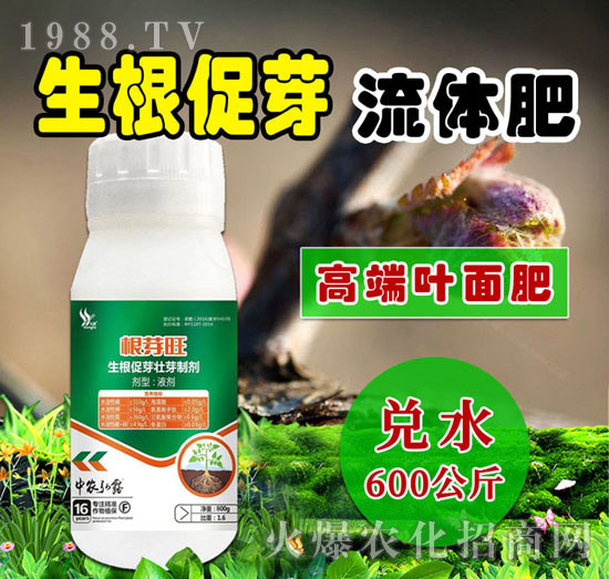 ������ѿ���w��-��ѿ��-��С��