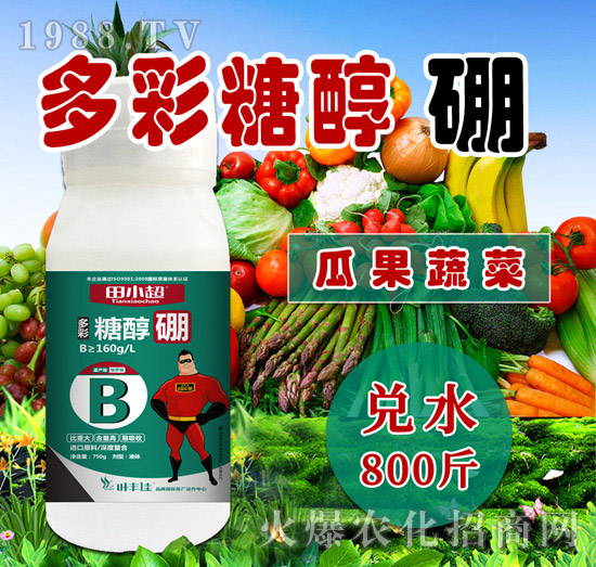 ����Ǵ���-��С��