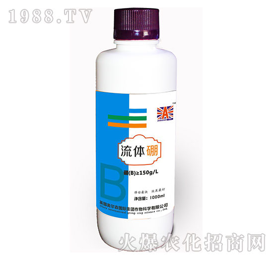 ���w��-�W��ɭ