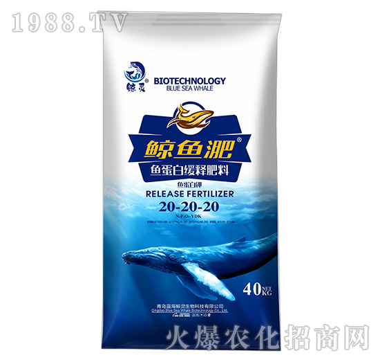 �~(y��)���׾�ጷ���20-20-20-�L�~(y��)��-����