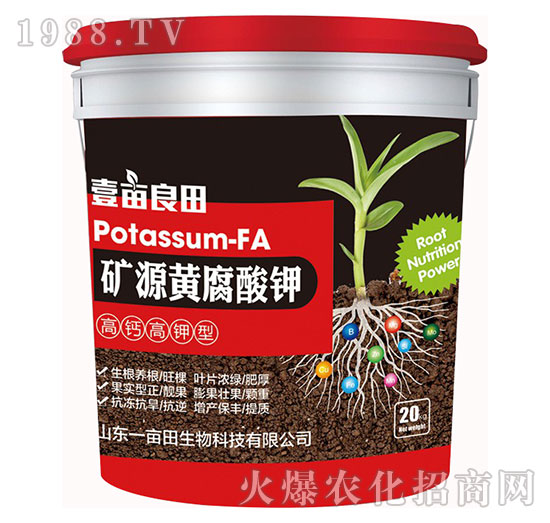 �VԴ�S����⛣�20kg��-Ҽ������