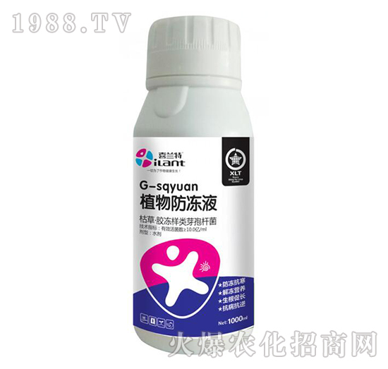 ֲ�������-ϲ�m��