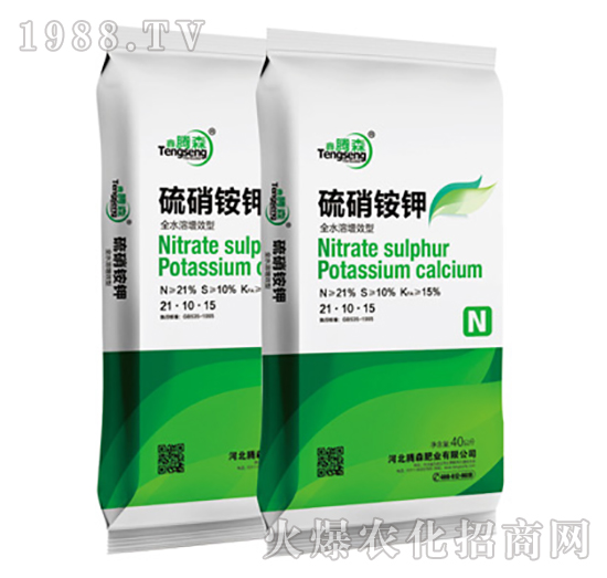 �����@�-���vɭ-�vɭ�ʘI(y��)