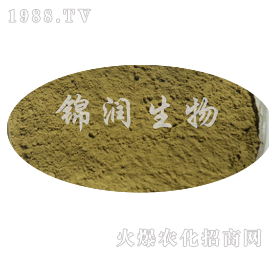 米曲霉孢子粉-錦潤(rùn)生物