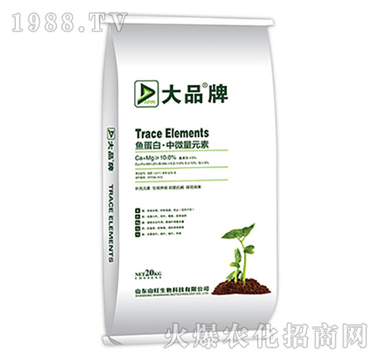 �~���ס���΢��Ԫ��-ɽ������