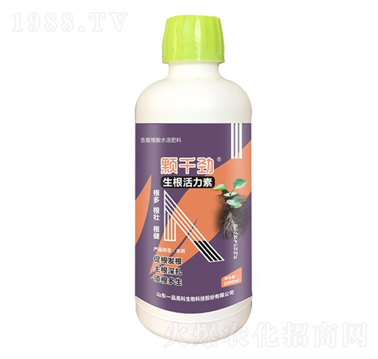 ����������-�wǧ��-���r(n��ng)˼�_