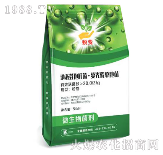 ����ѿ�ߗU�����ɹ�نΰ���-͑׃-����ֲ��