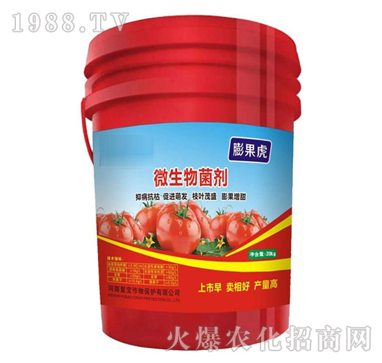 ΢�������-�����-�͌�����