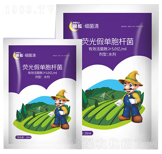 熒光假單胞桿菌-細(xì)菌清-魔粒肥業(yè)