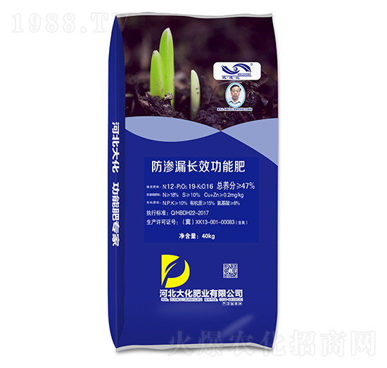 防滲漏長效功能肥-大化肥業(yè)