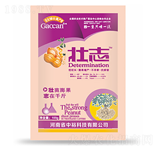 ��־-�����Ƽ�