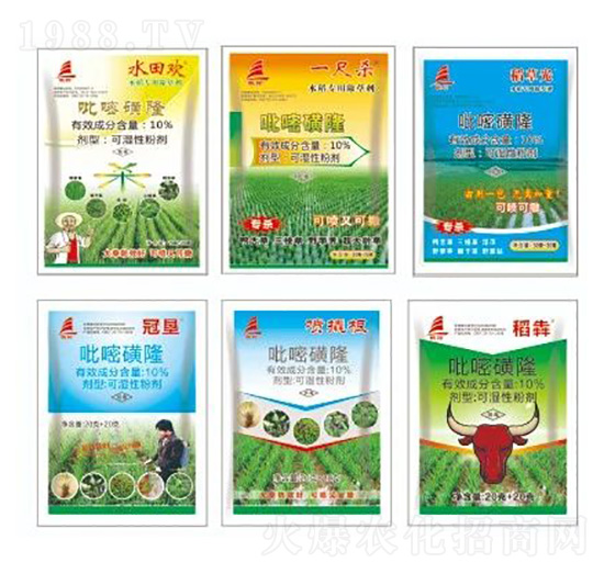 10%���׻��������M��������-ϲ�S��