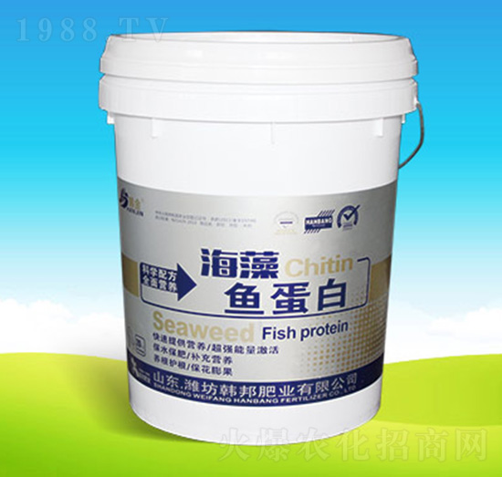 �����~(y��)����-�n��ʘI(y��)