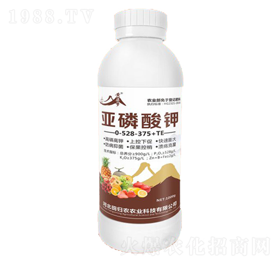 �������0-528-375+TE-�S����-�����r�I(y��)