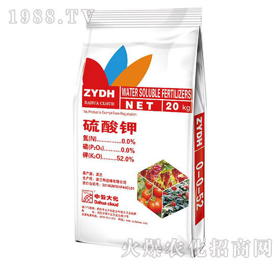 �����-���ƴ�