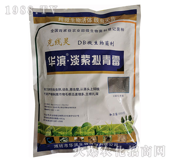 ΢�������-�A�I�����ϔM��ù