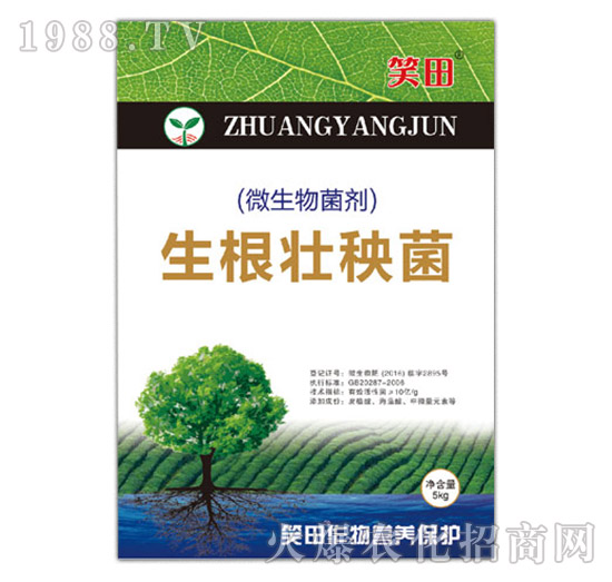 ΢�������-����������-Ц��