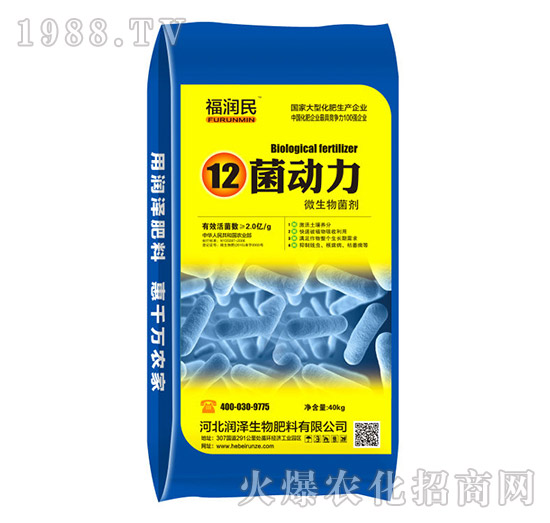 ΢�������-12������-��������