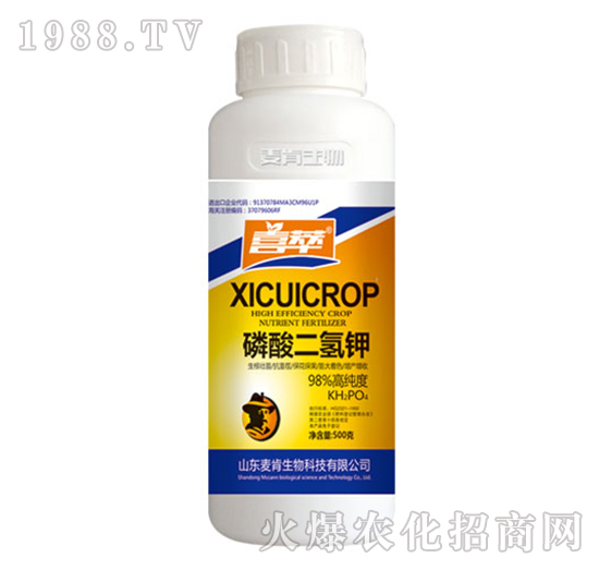 �������⛣�500g��-��������