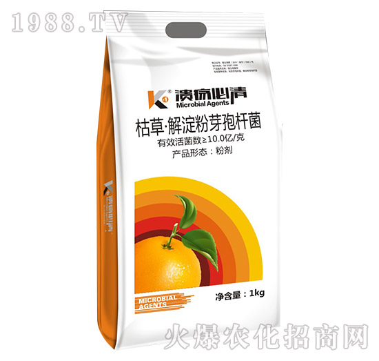 枯草·解淀粉芽孢桿菌-潰瘍必清-碩達(dá)