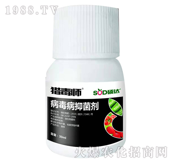 ���������Ƅ�-�C����-�T�_(d��)