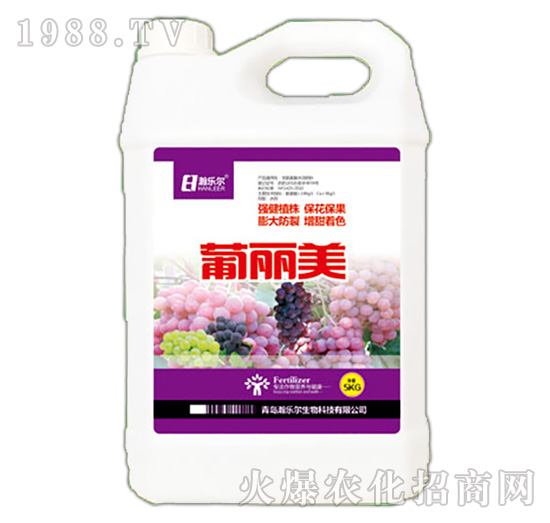 ������-嫘�(l��)��