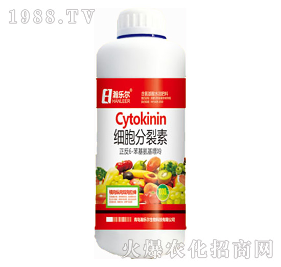 ��(x��)��������-嫘���