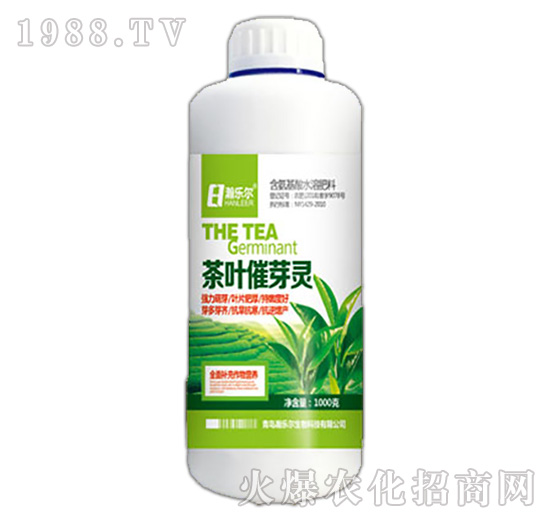 ���~��ѿ��-嫘���