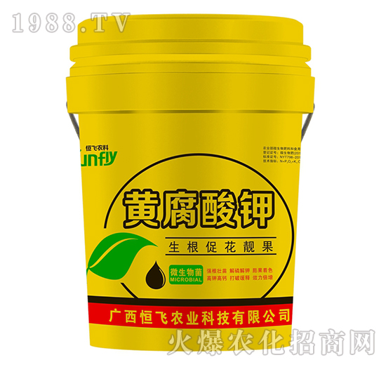 �S�����-���w�r�I(y��)