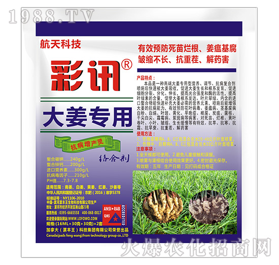 大姜專用抗病增產靈-彩訊-漯豐王