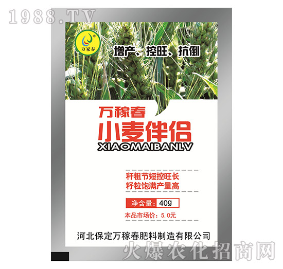 С����H-�f�ڴ�