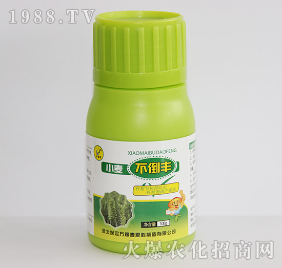 С�������S-�f�ڴ�