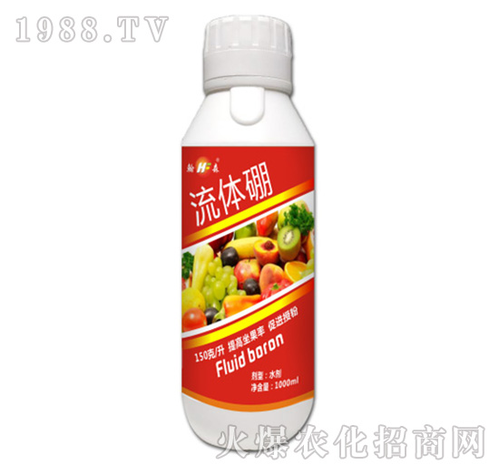 ���w��-���S