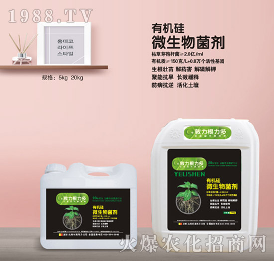 有機(jī)硅微生物菌劑-施耐力