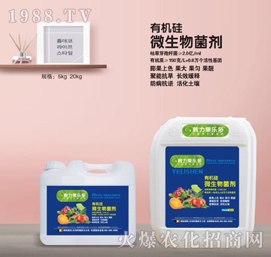 有機硅微生物菌劑（桶）-施耐力