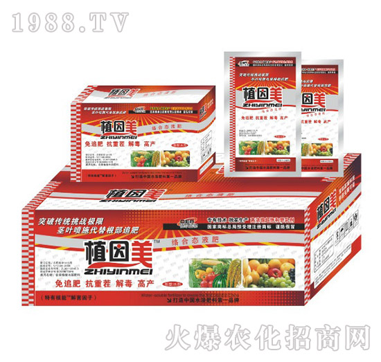 ֲ����С���b-� �����