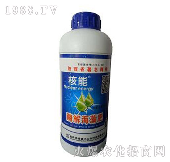 ����ø�⺣���-� �����